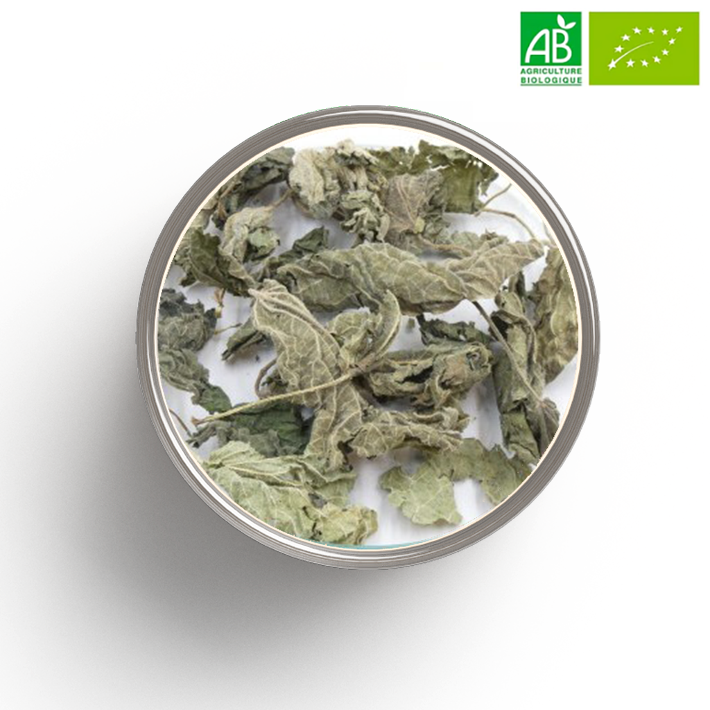 Ordina Ortica Foglie In Polvere - Foto 7