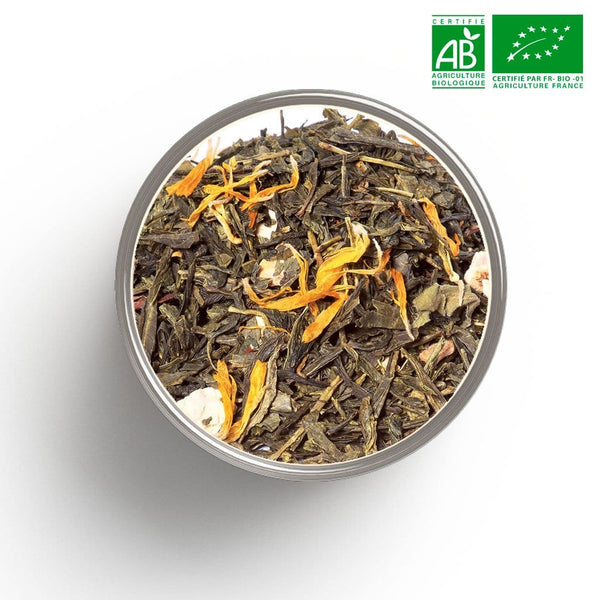 Tè verde biologico con aromi di agrumi (zenzero, arancia) all'ingrosso