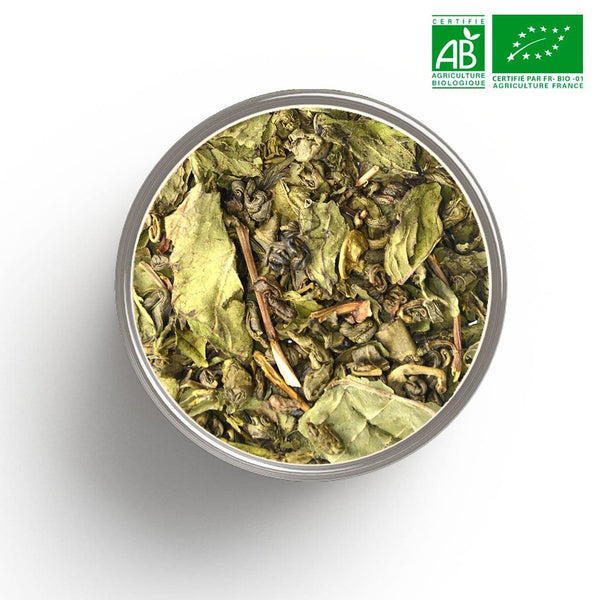 Tè verde biologico premium (menta piperita) all'ingrosso