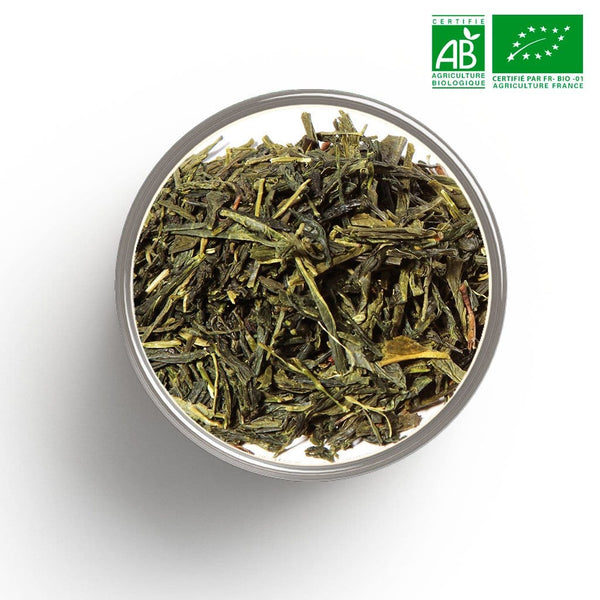 Cina Sencha tè verde grado 1 Dao Ren Feng organico alla rinfusa
