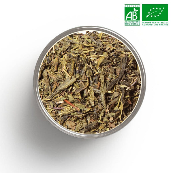 Tè verde biologico Diabolo (Menta) alla rinfusa