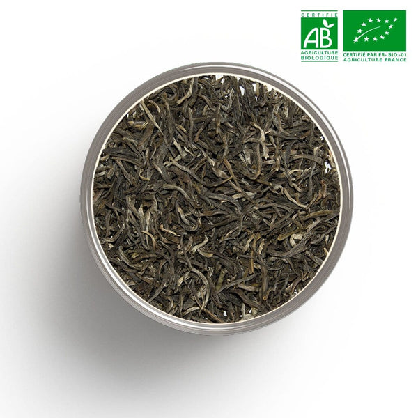Tè verde dello Yunnan biologico sfuso