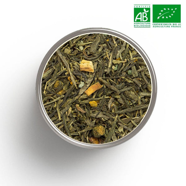 Tè verde biologico (Mango, frutto della passione) alla rinfusa