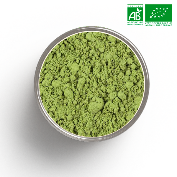 Tè verde Moga Cha biologico in bustina da 100 g